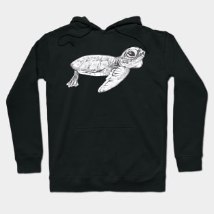 Baby Turtle Hoodie